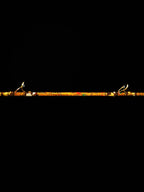 No.14